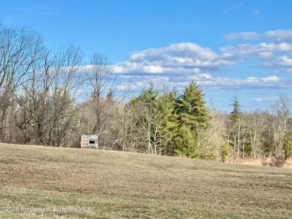 a view of a dry yard