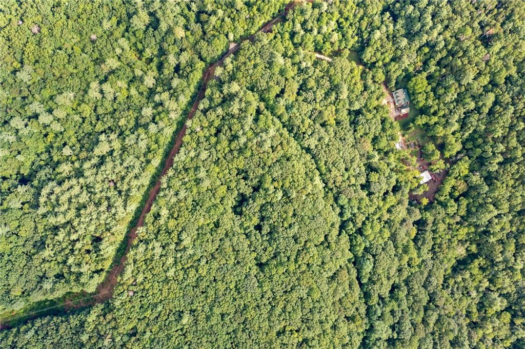 67 Falls Trail Jasper, GA 30143 - Photo 11 of 11