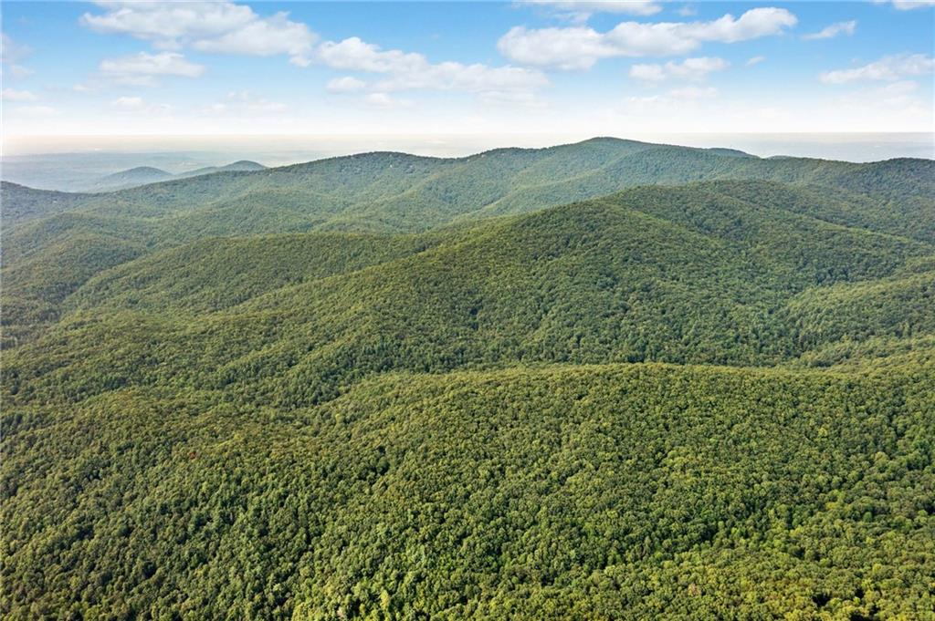 67 Falls Trail Jasper, GA 30143 - Photo 2 of 11