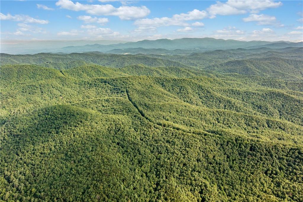 67 Falls Trail Jasper, GA 30143 - Photo 3 of 11