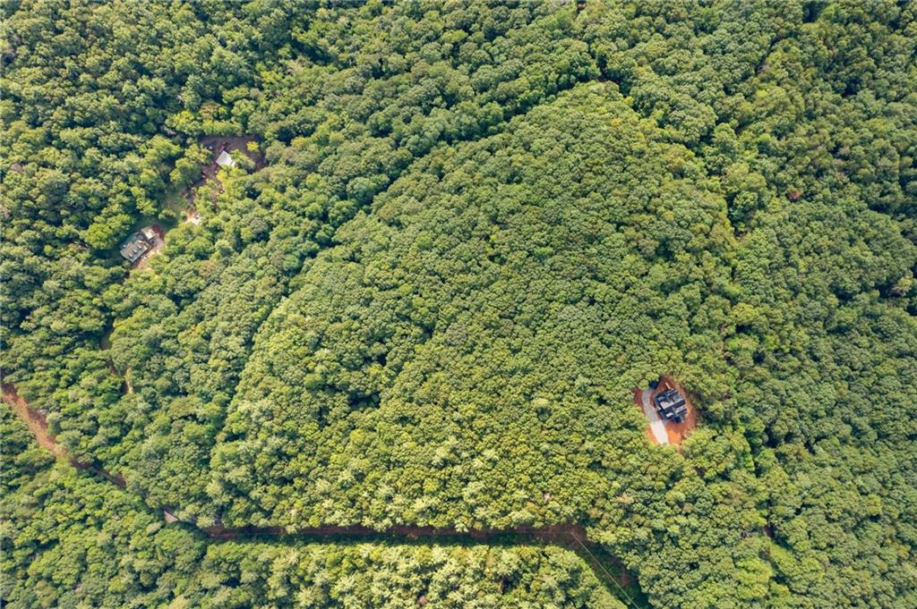 67 Falls Trail Jasper, GA 30143 - Photo 4 of 11