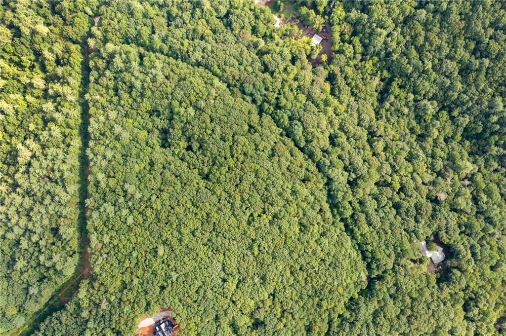 67 Falls Trail Jasper, GA 30143 - Photo 6 of 11