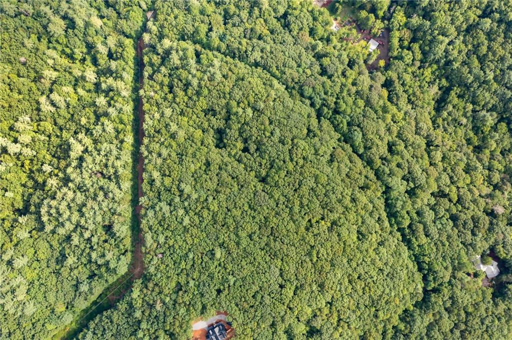 67 Falls Trail Jasper, GA 30143 - Photo 7 of 11