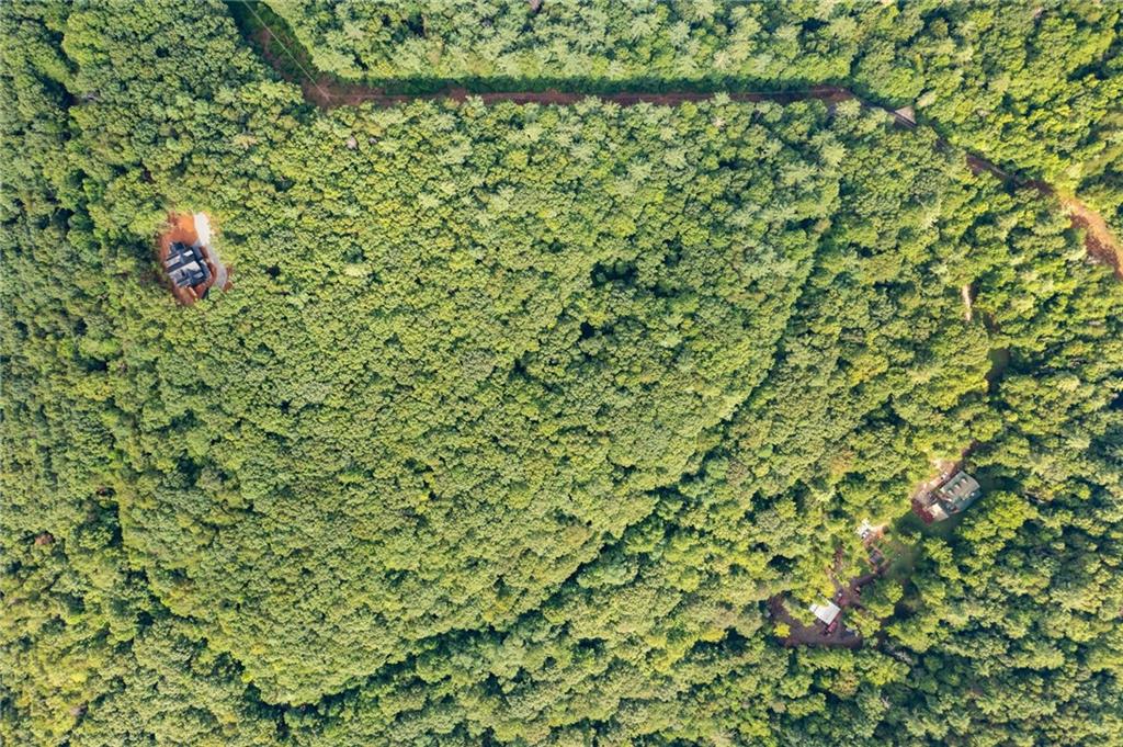 67 Falls Trail Jasper, GA 30143 - Photo 9 of 11