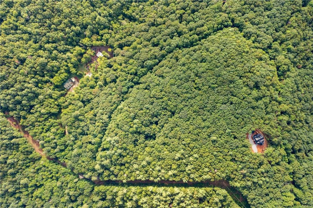 67 Falls Trail Jasper, GA 30143 - Photo 10 of 11