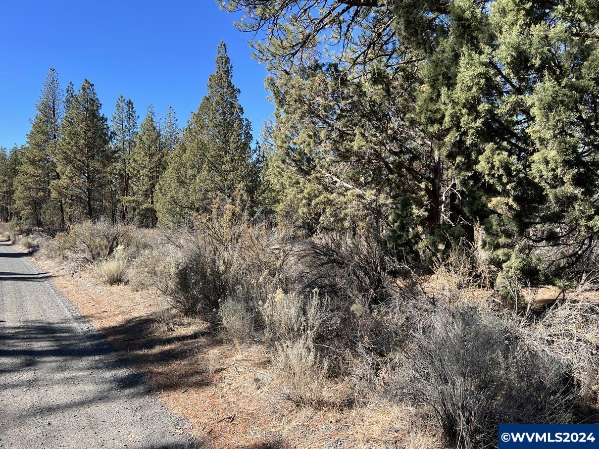 600 Oregon Pines Road Chiloquin, OR 97624 - Photo 24 of 49