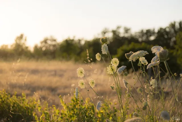 $1,650,000 | 2220 Oakwild Lane, Santa Rosa, CA 95401