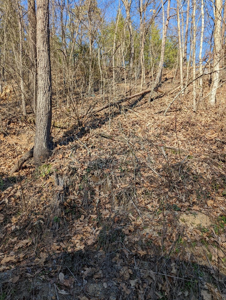 4 Rising Fawn Way Sevierville, TN 37862 - Photo 4 of 4