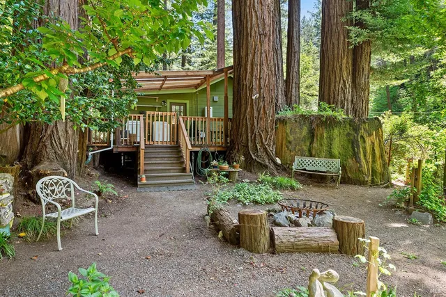 a view of a garden with plants
