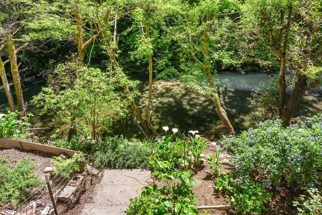 a view of outdoor space and yard