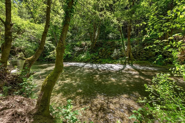 a view of outdoor space and yard