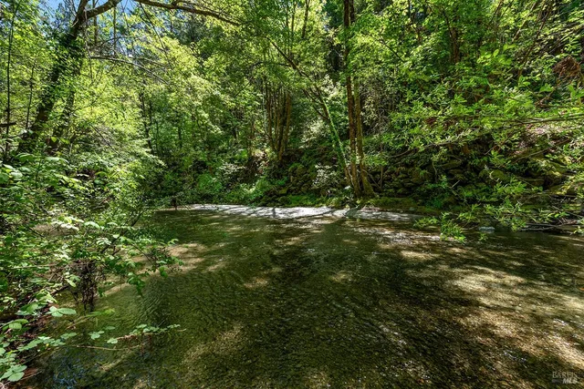 a view of a table and chairs in the garden