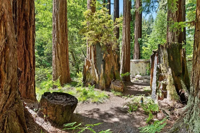 a view of a chair and table in a backyard