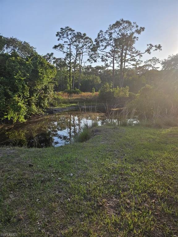1375 Ash Road Northwest LaBelle, FL 33935 - Photo 11 of 26 Natural water feature surrounded by mature trees and varied foliage