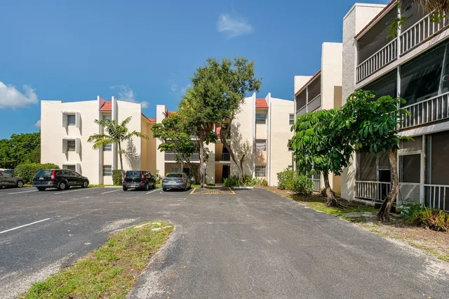 a view of a yard with plants