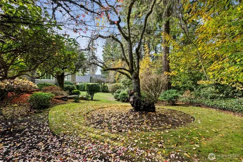 a view of a yard with plants and trees