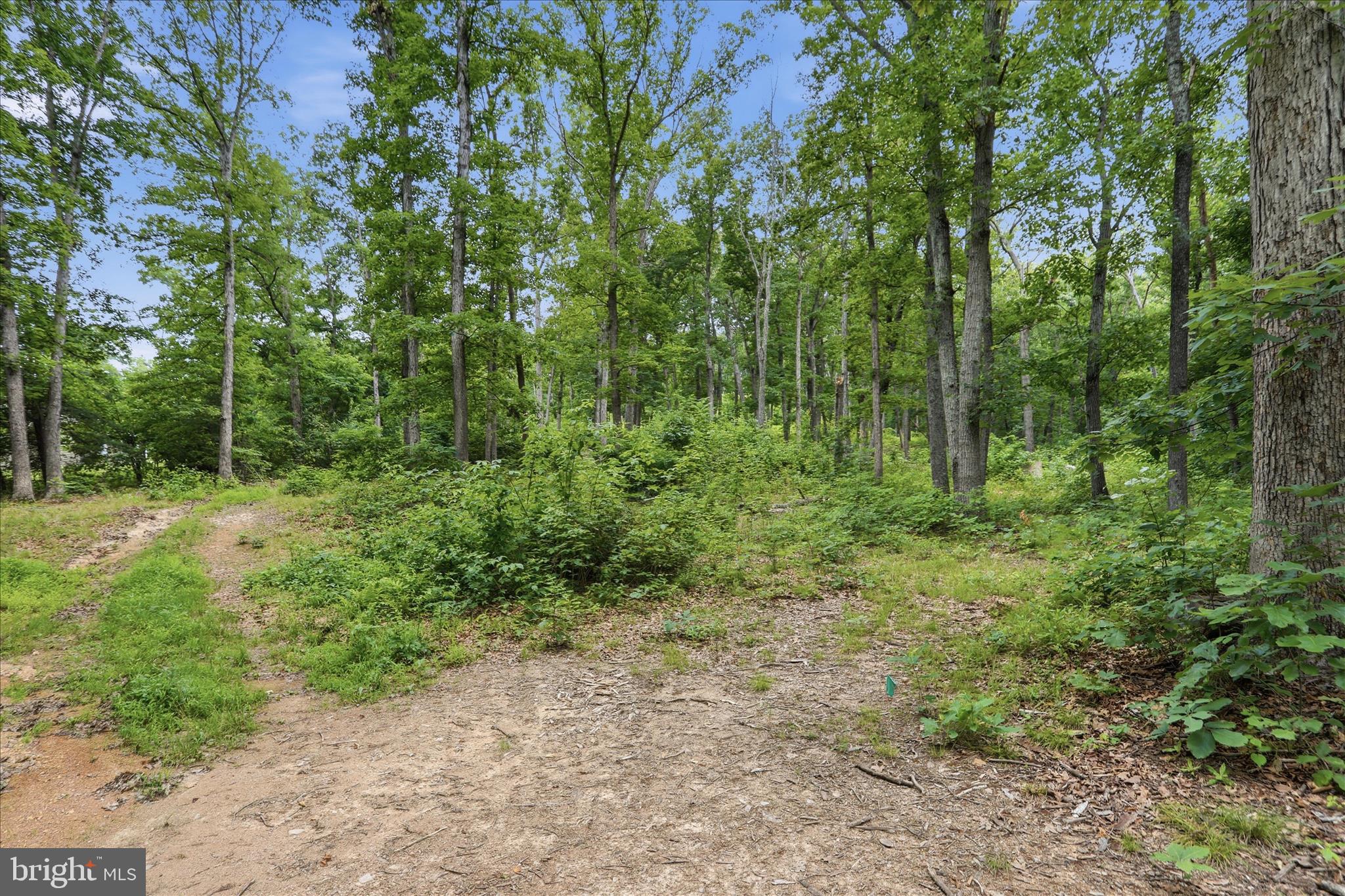 Messick Road Strasburg, VA 22657 - Photo 3 of 22