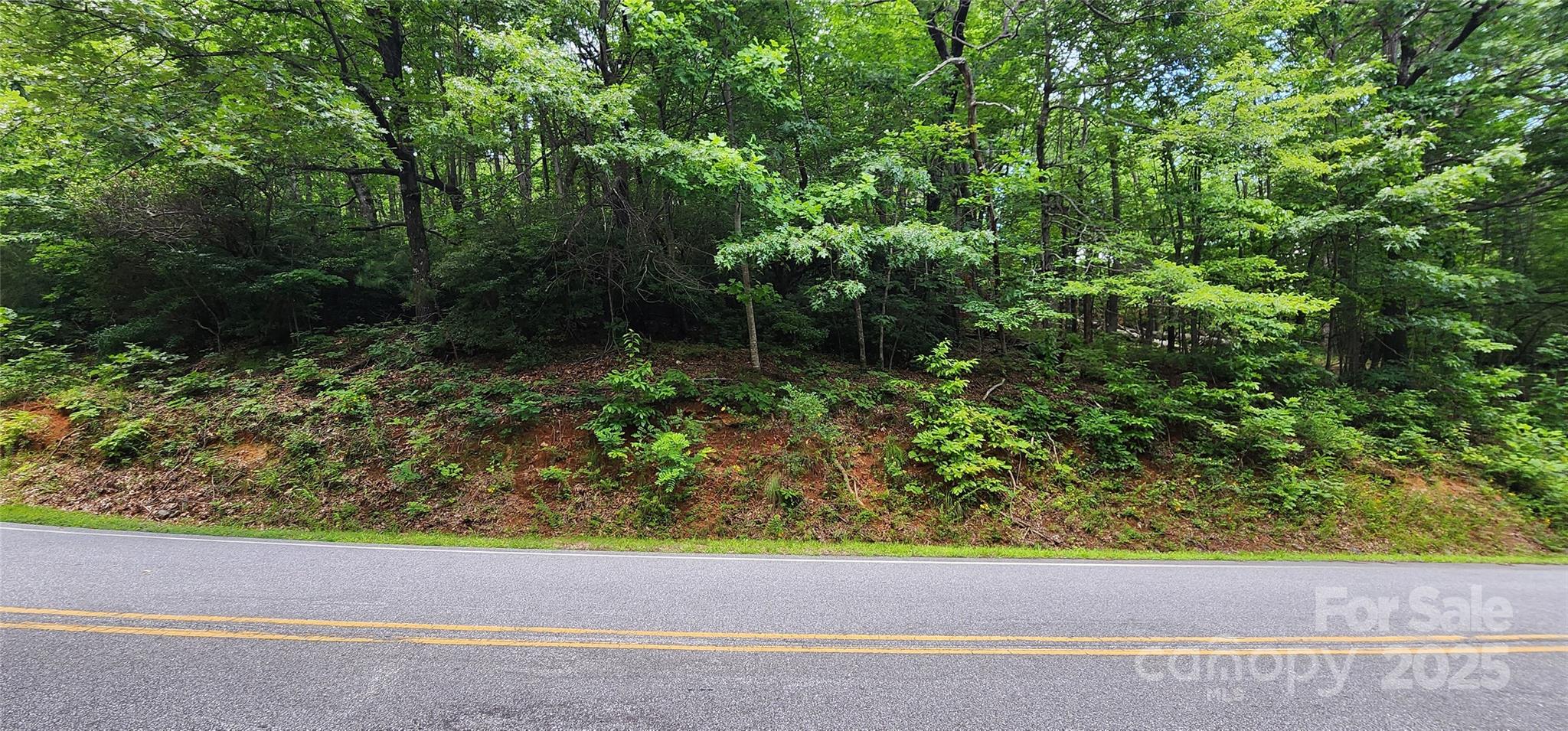 Lot 37 White Oak Mountain Road Columbus, NC 28722 - Photo 3 of 13