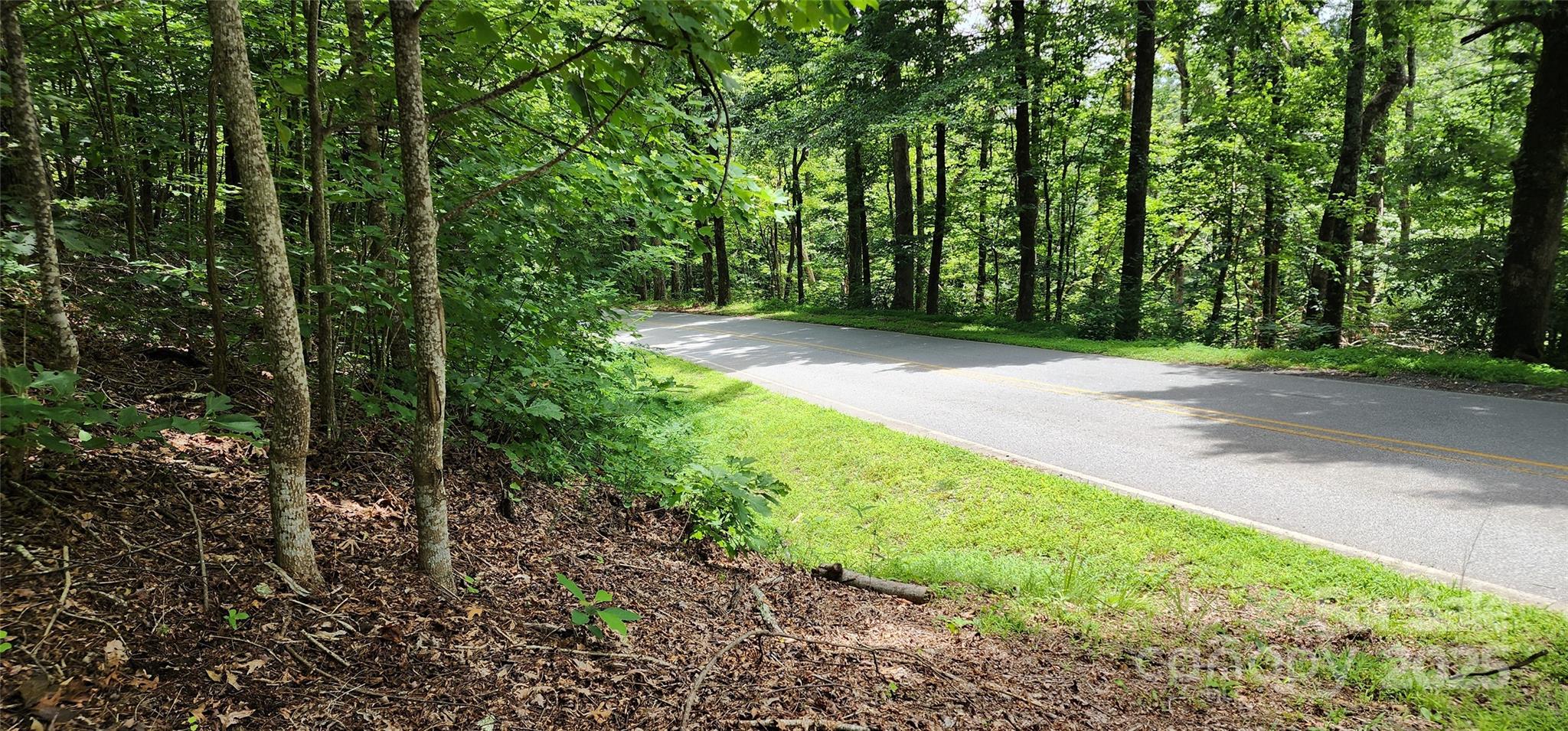 Lot 37 White Oak Mountain Road Columbus, NC 28722 - Photo 6 of 13