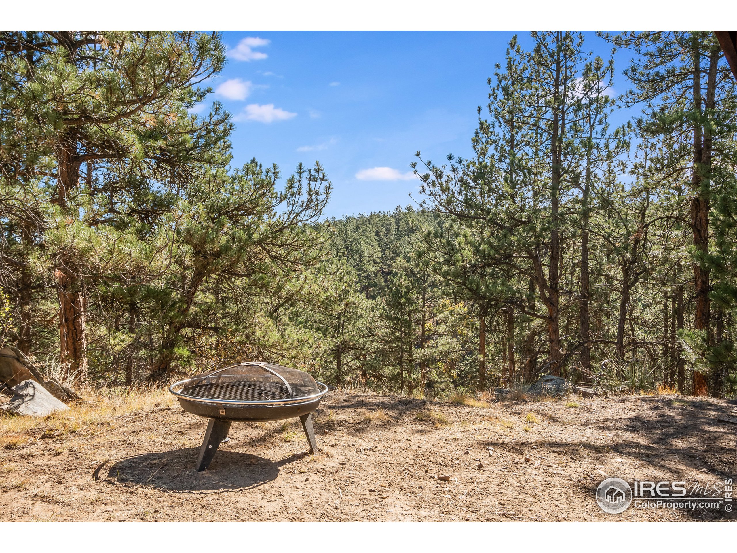 440 Wren Place Drake, CO 80515 - Photo 31 of 35