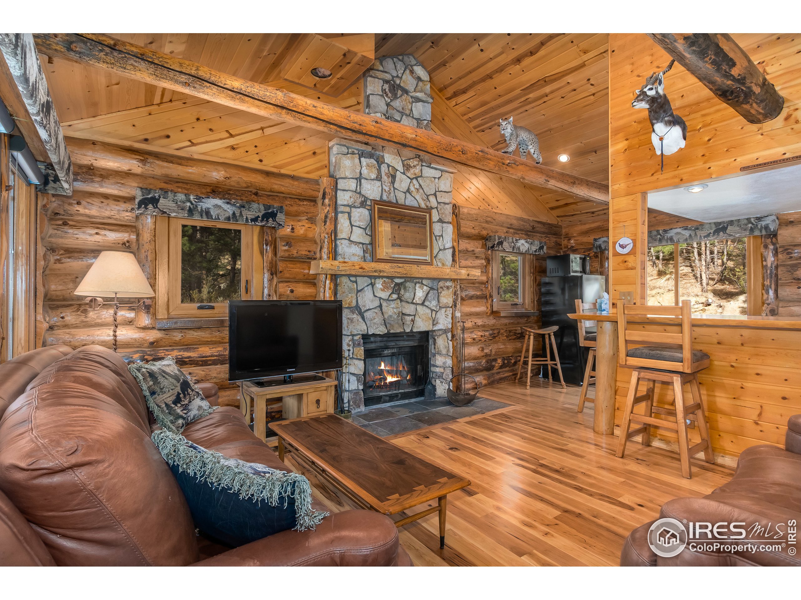 440 Wren Place Drake, CO 80515 - Photo 4 of 35