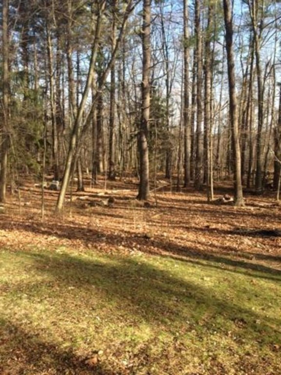 27 Waite Road Boxborough, MA 01719 - Photo 20 of 22 Gallery Image 20