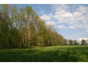 7318 West Eller Road Bloomington, IN 47403 - Photo 11 of 24