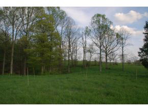 7318 West Eller Road Bloomington, IN 47403 - Photo 17 of 24