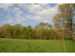 7318 West Eller Road Bloomington, IN 47403 - Photo 19 of 24