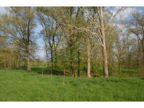 7318 West Eller Road Bloomington, IN 47403 - Photo 20 of 24