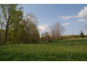 7318 West Eller Road Bloomington, IN 47403 - Photo 24 of 24