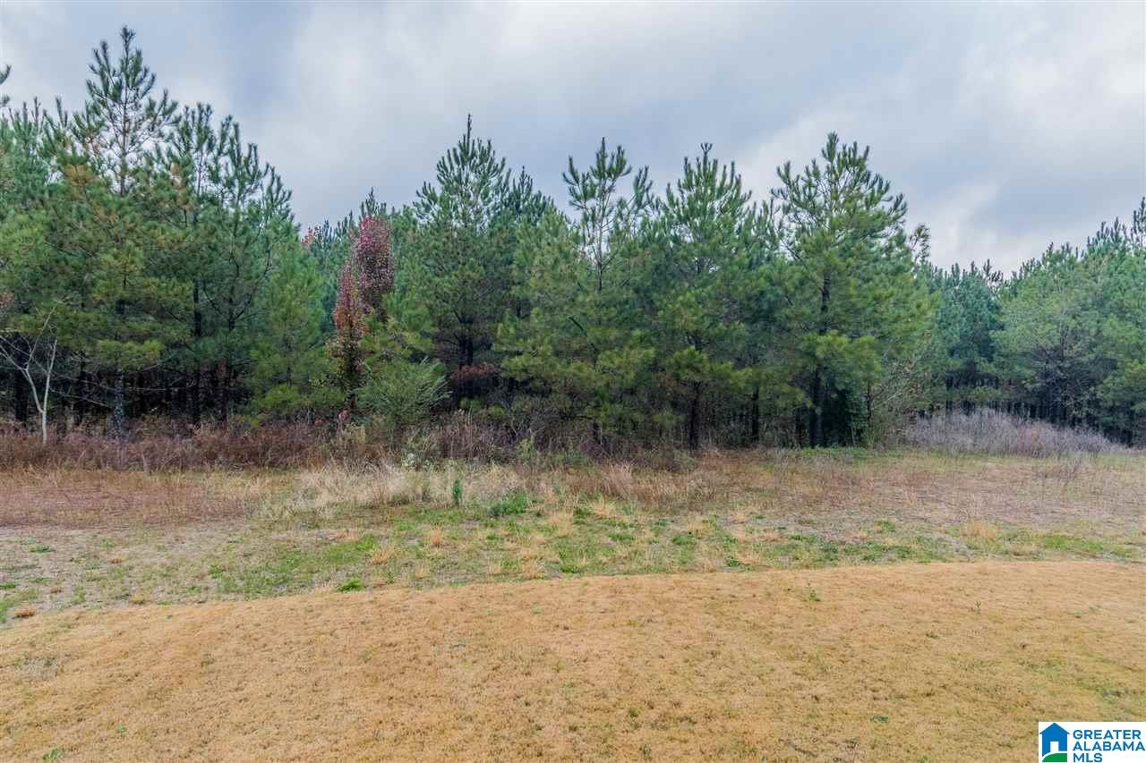 5553 Park Side Road Birmingham, AL 35244 - Photo 30 of 30