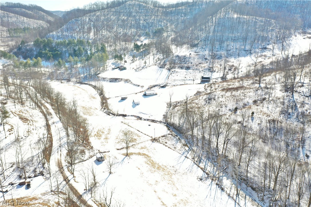 1296 Walker Creek Road Chloe, WV 25235 - Photo 42 of 50 Gallery Image 42