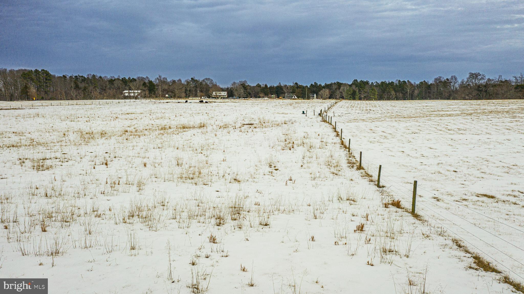 Tbd Bibb Store Road Louisa, VA 23093 - Photo 11 of 22