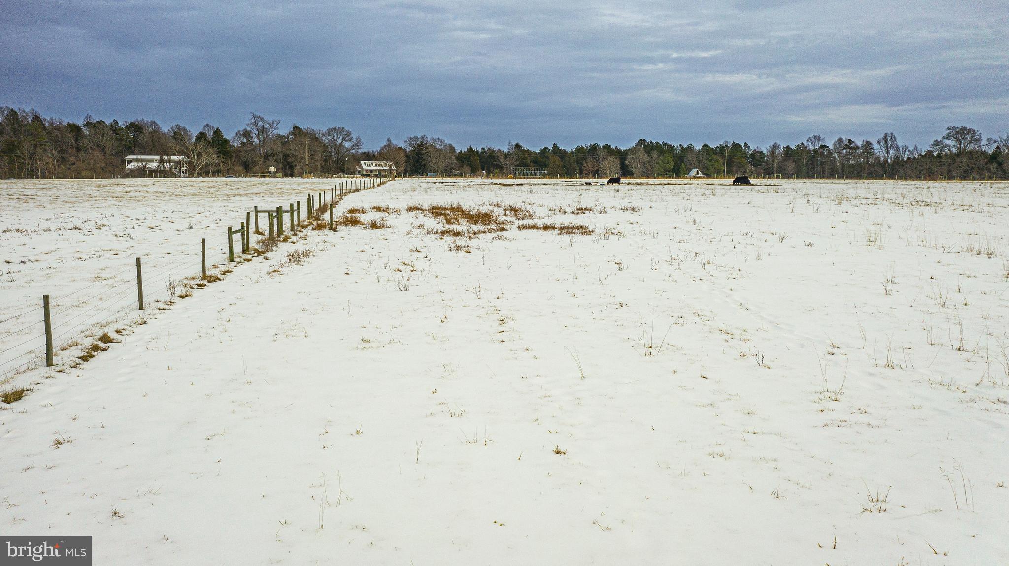 Tbd Bibb Store Road Louisa, VA 23093 - Photo 12 of 22