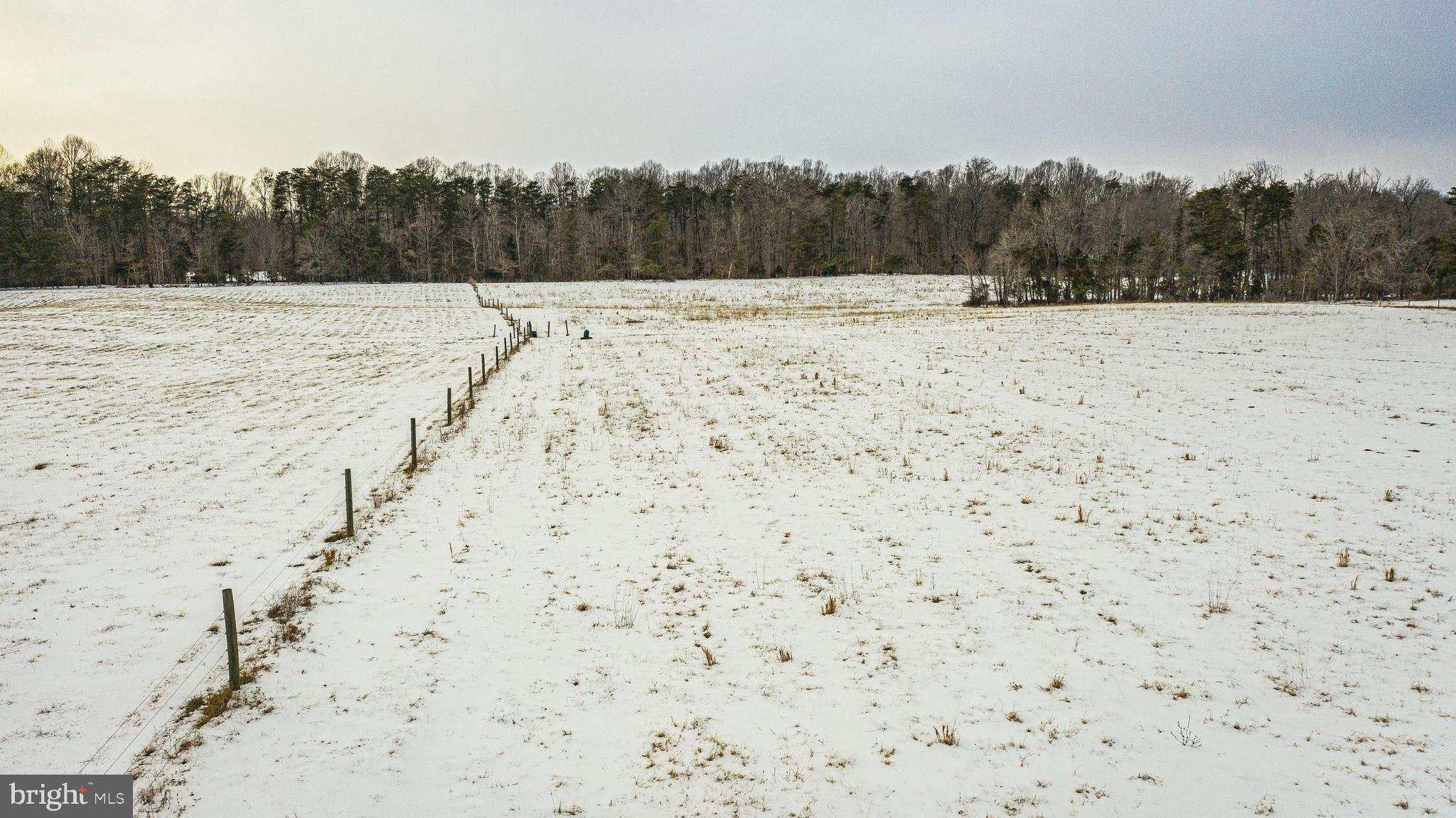Tbd Bibb Store Road Louisa, VA 23093 - Photo 13 of 22