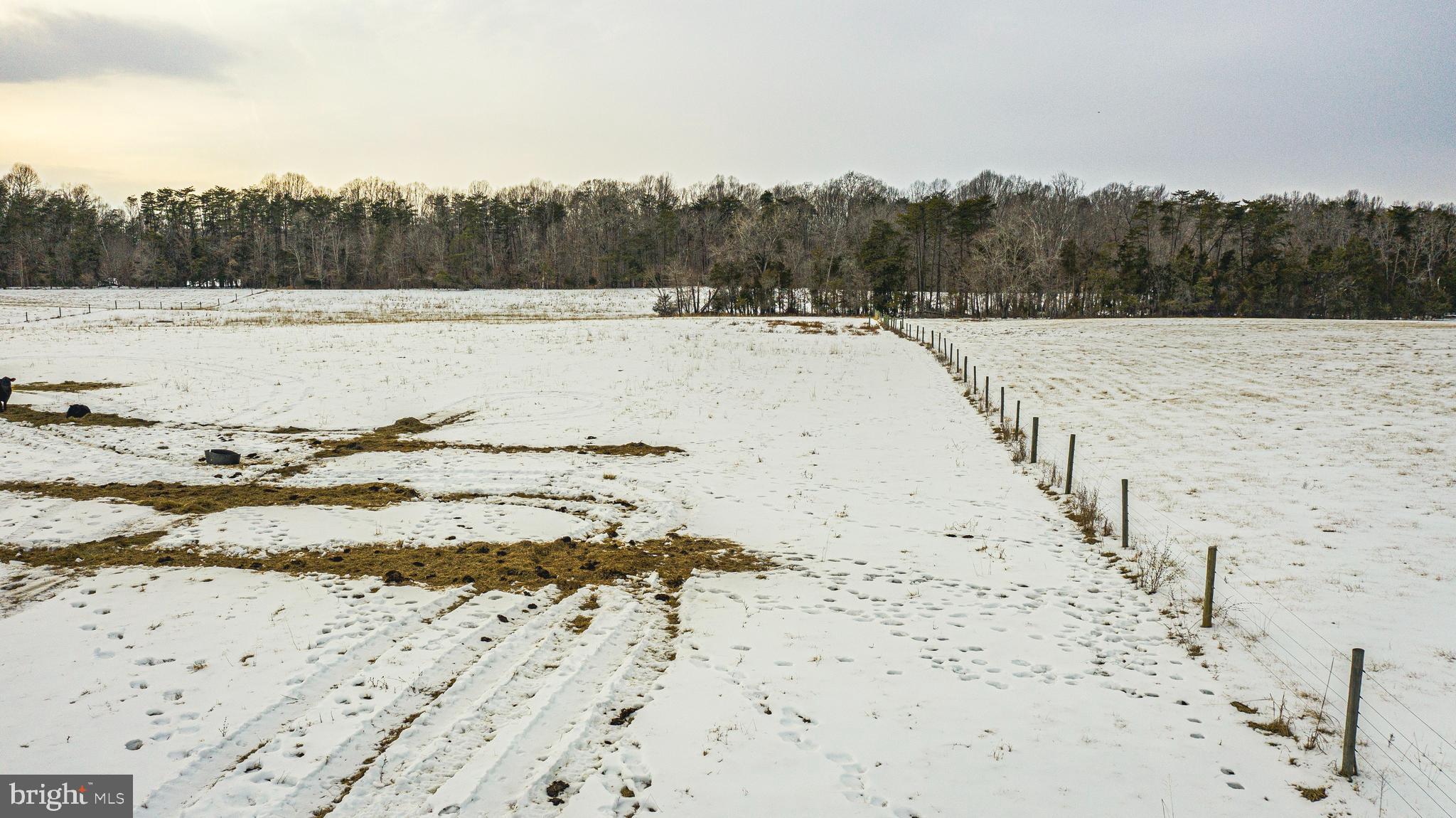 Tbd Bibb Store Road Louisa, VA 23093 - Photo 14 of 22