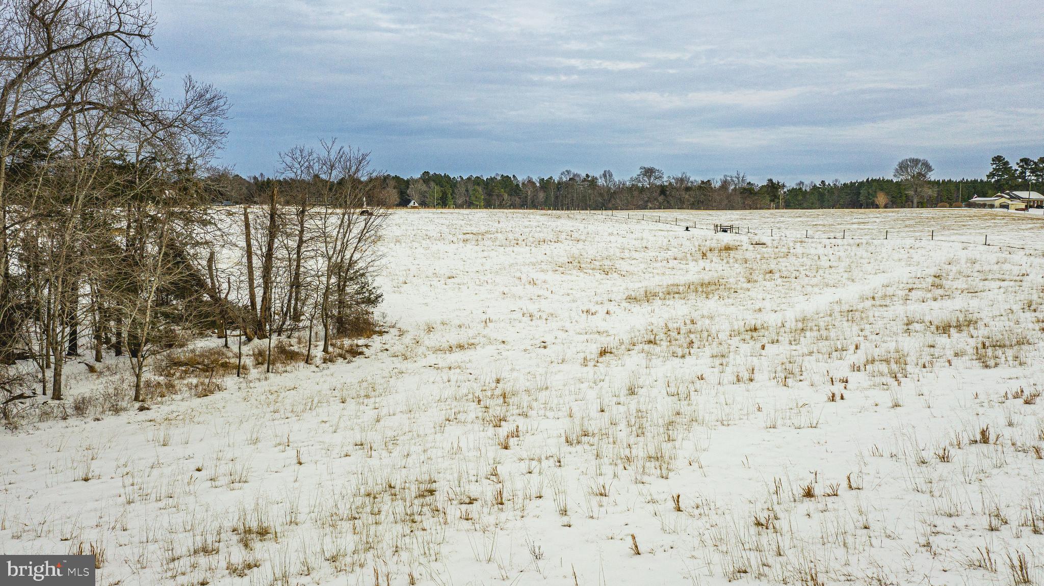 Tbd Bibb Store Road Louisa, VA 23093 - Photo 15 of 22