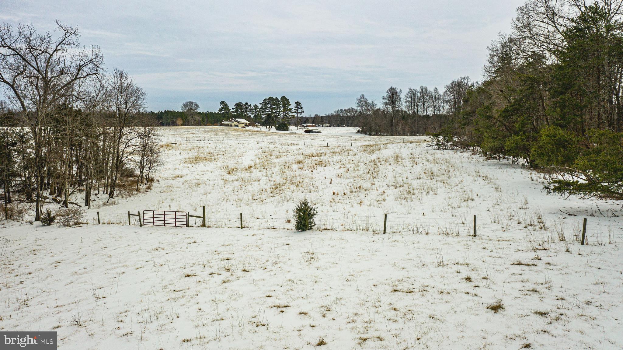 Tbd Bibb Store Road Louisa, VA 23093 - Photo 16 of 22