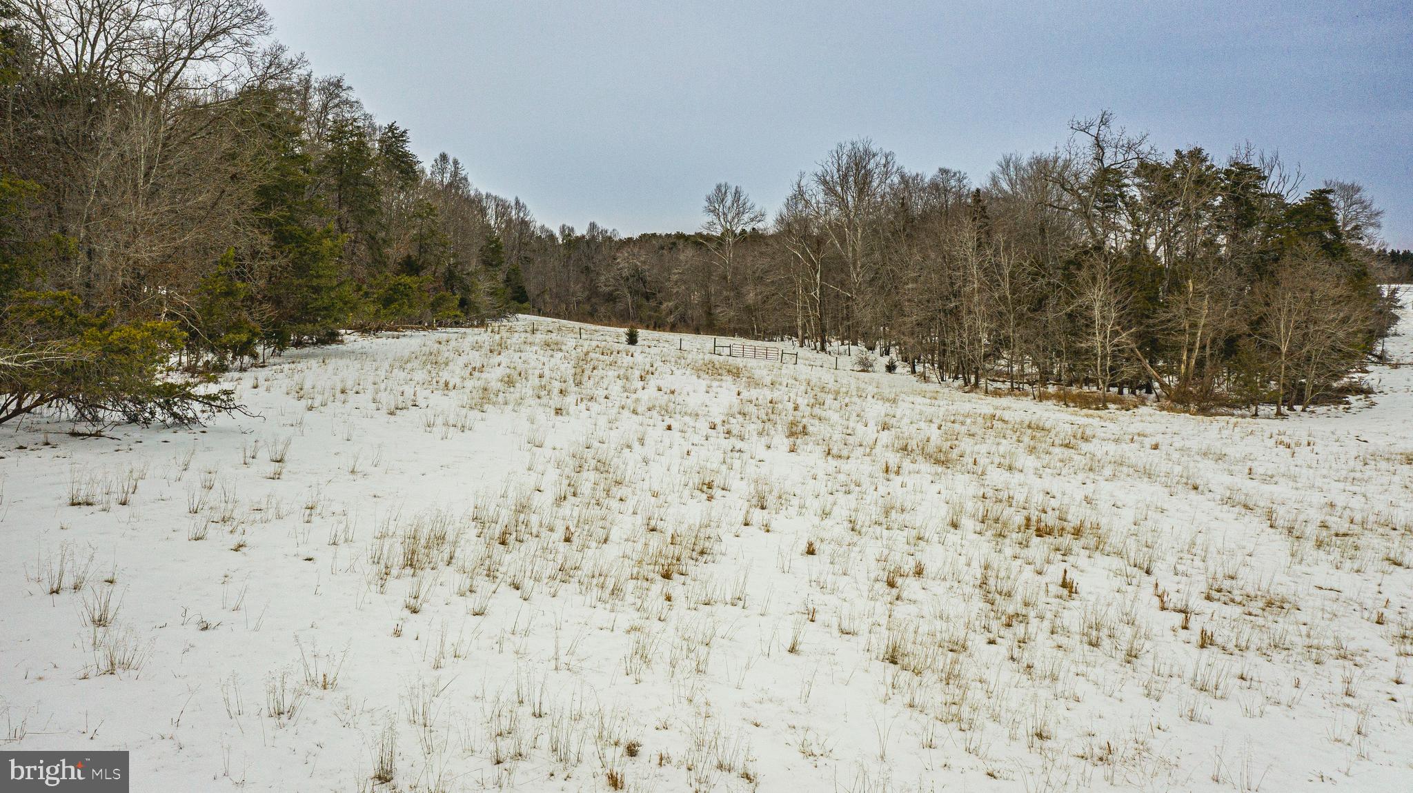 Tbd Bibb Store Road Louisa, VA 23093 - Photo 17 of 22