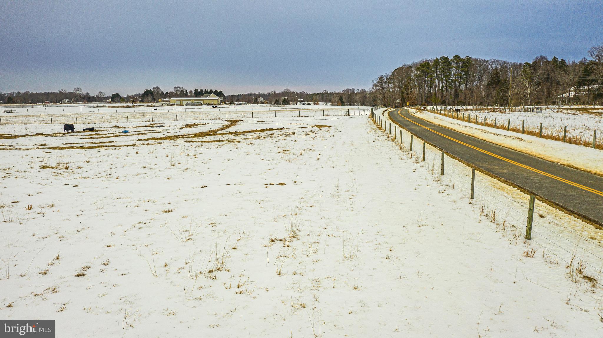 Tbd Bibb Store Road Louisa, VA 23093 - Photo 4 of 22