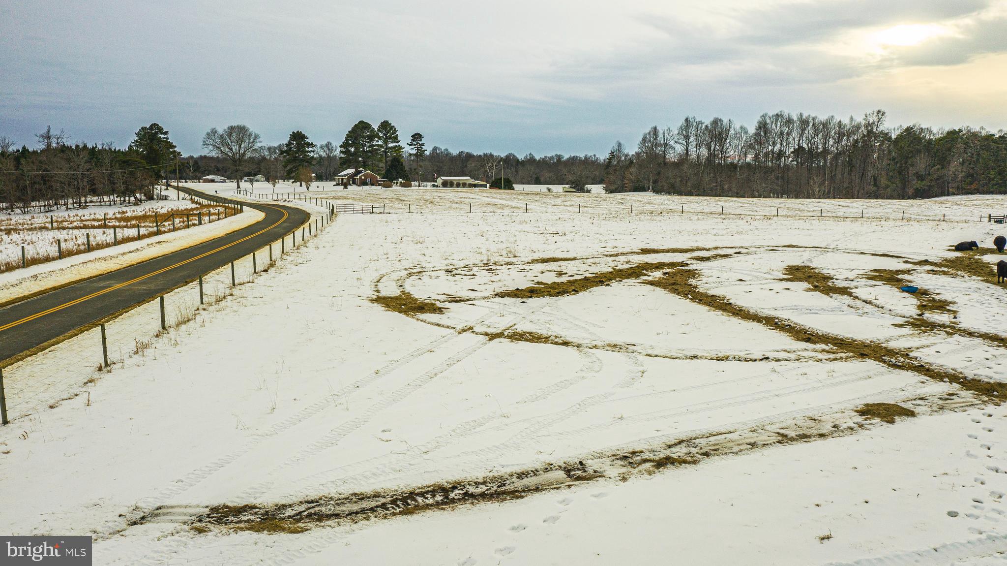Tbd Bibb Store Road Louisa, VA 23093 - Photo 8 of 22