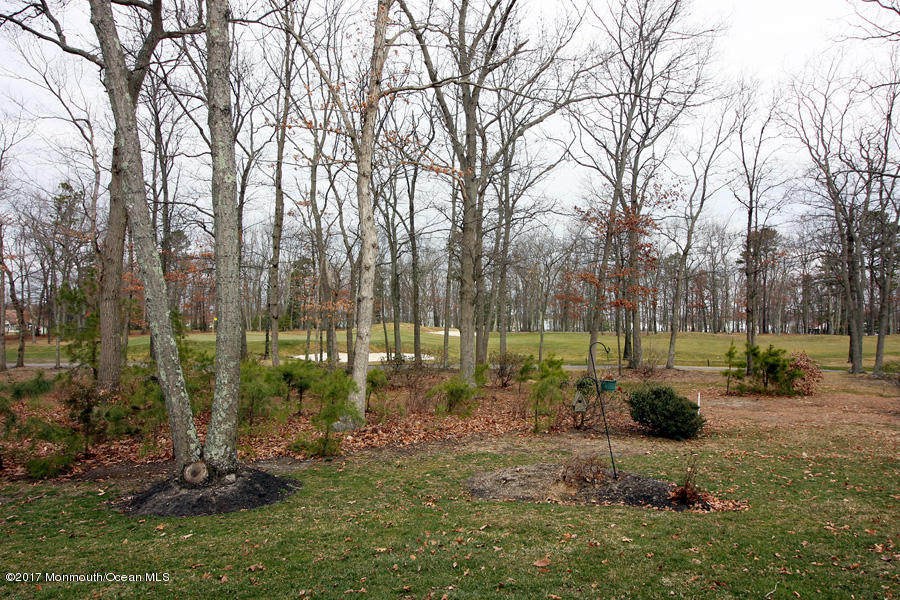 46 Winged Foot Road Jackson, NJ 08527 - Photo 21 of 22 IMG_0068