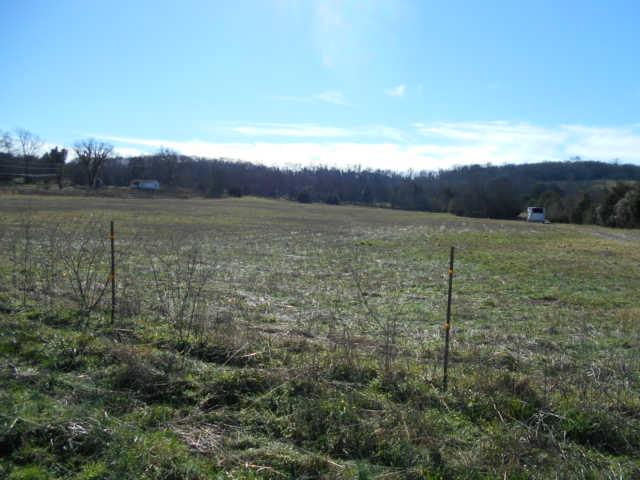 12 Bluebird Road Lebanon, TN 37087 - Photo 6 of 9 Gallery Image 6