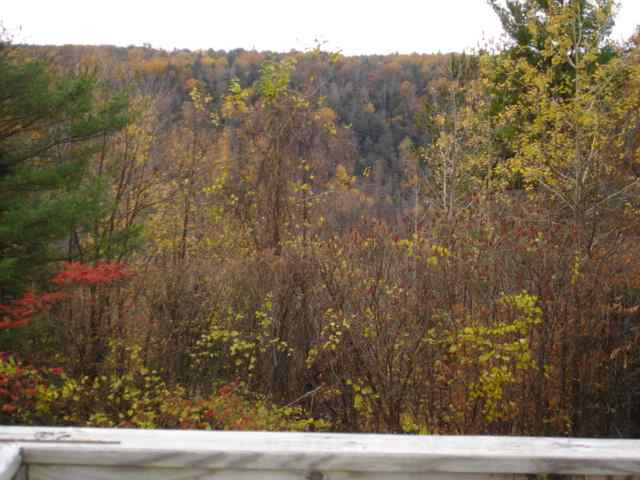155 High Pine Meadows Road Middleburgh, NY 12122 - Photo 6 of 6 Photo 6