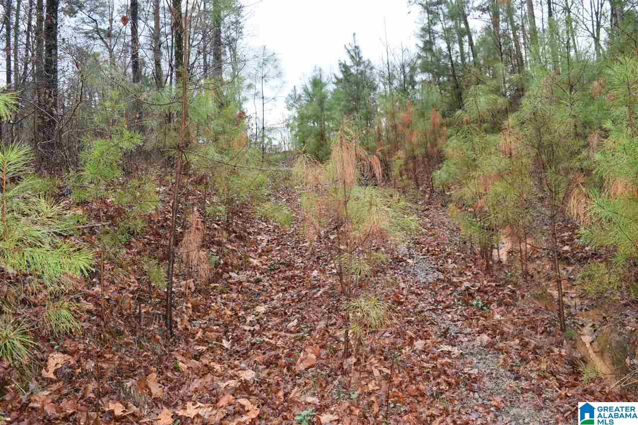Lot 11 Winding Creek Road, Unit LOT 11 Arley, AL 35541 - Photo 2 of 5