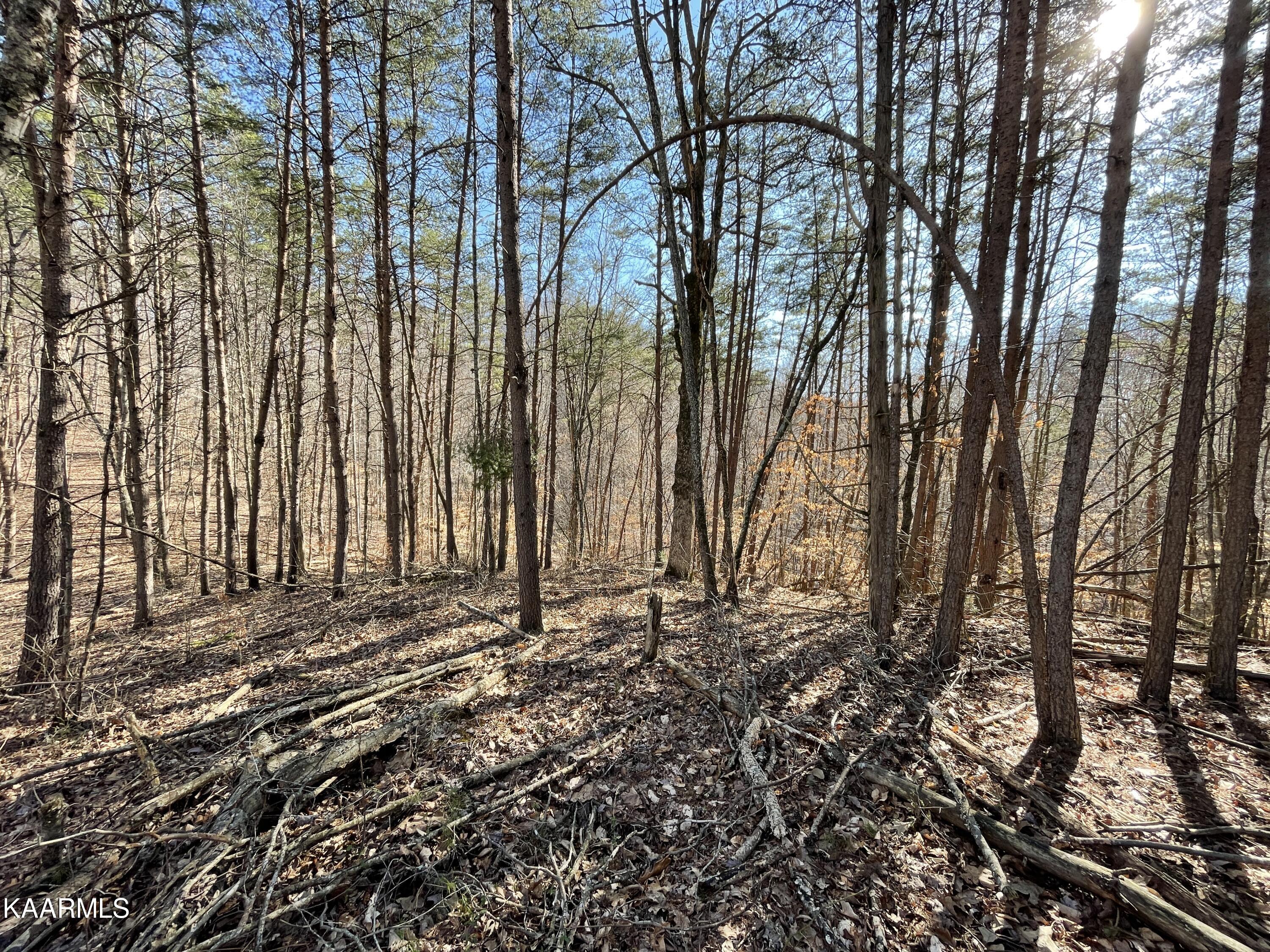 Hickory Valley Road Heiskell, TN 37754 - Photo 11 of 38 Hickory Valley Rd