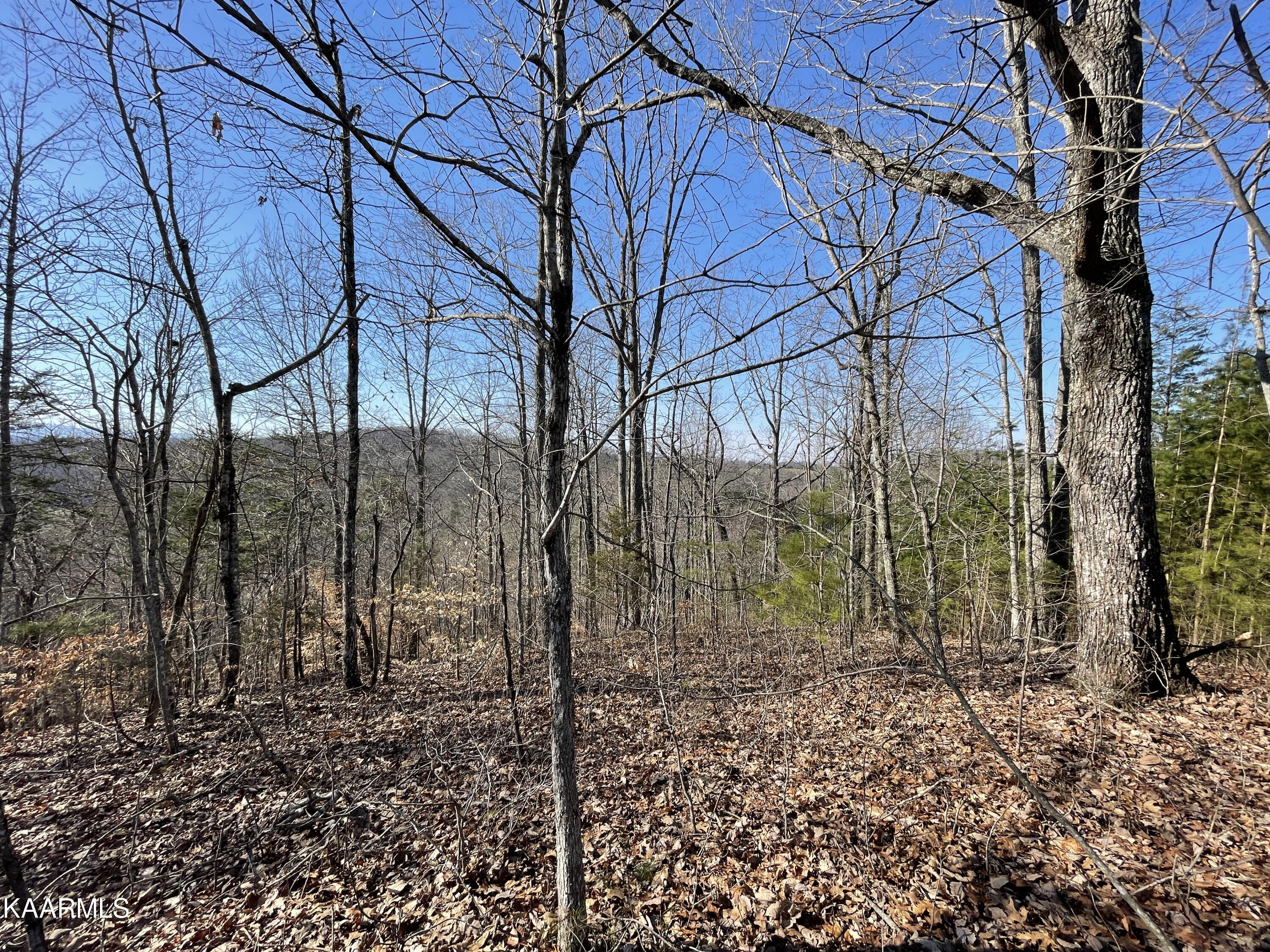 Hickory Valley Road Heiskell, TN 37754 - Photo 12 of 38 Hickory Valley Rd