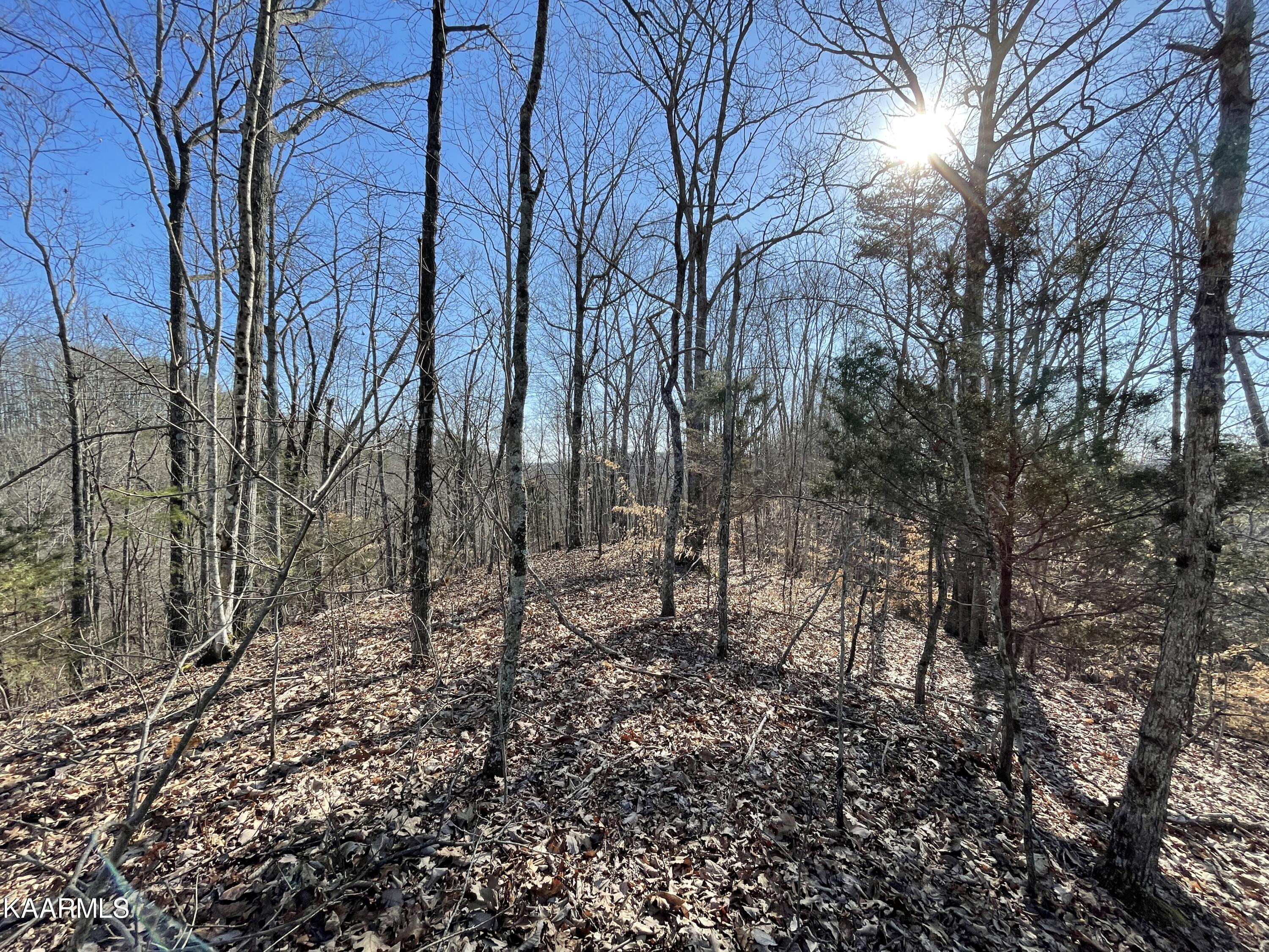 Hickory Valley Road Heiskell, TN 37754 - Photo 13 of 38 Hickory Valley Rd