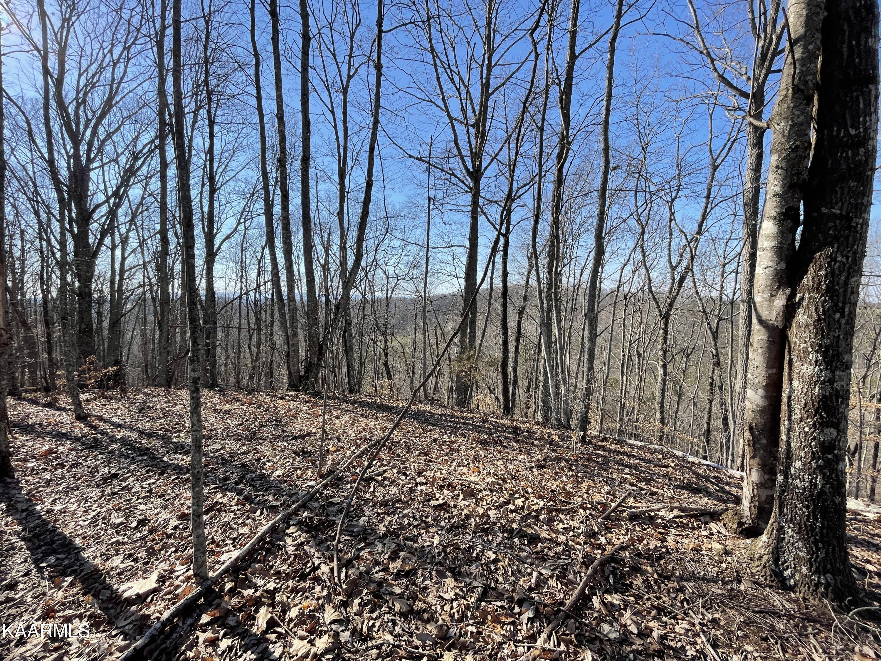 Hickory Valley Road Heiskell, TN 37754 - Photo 15 of 38 Hickory Valley Rd